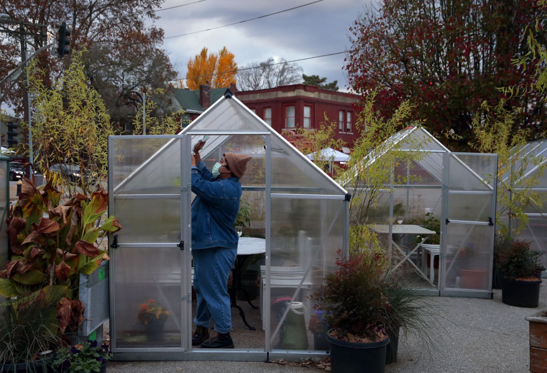 Greenhouses pop up at Olio as service moves outdoors